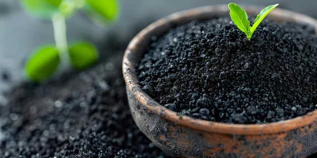 Biochar